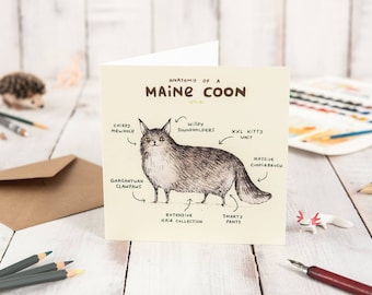 Anatomy Of A Maine Coon Card