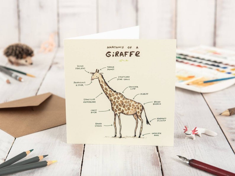 Carte Anatomie d’une girafe image 1