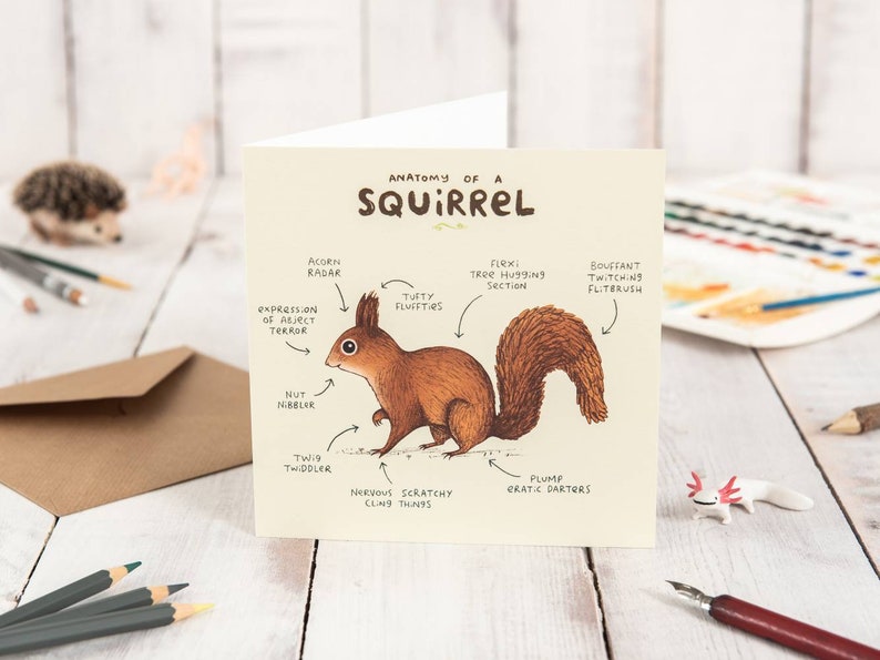 Anatomy Of A Squirrel Card image 1
