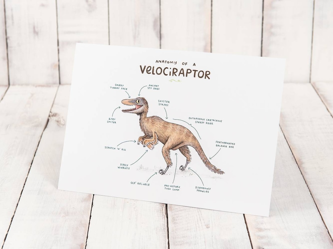 Anatomy of A Velociraptor A4 Signed Print - Etsy