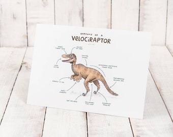 Anatomy Of A Velociraptor A4 Signed Print