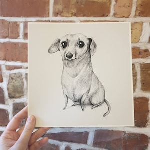 Monochrome Dachshund Portrait Signed Fine Art Print