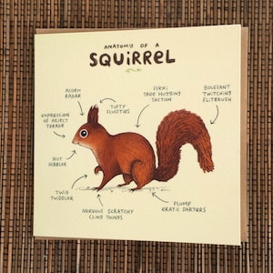 Anatomy Of A Squirrel Card image 5