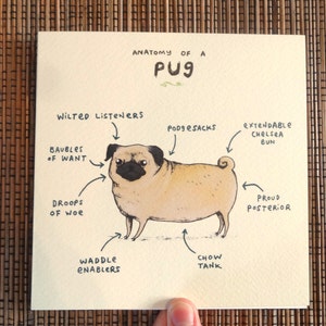 Anatomy Of A Pug Greeting Card Funny Cute Pugs Dog Scientific Anatomical Animal Illustration UK Worldwide Postage Sophie Corrigan image 2