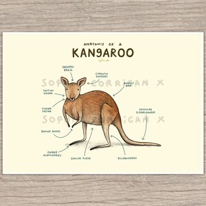 Anatomie d’une impression d’art signée kangourou