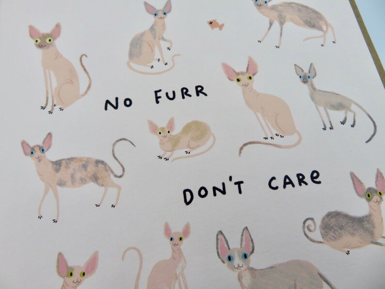 May include: A white background with a repeating pattern of hairless cats in various poses. The text "NO FURR DON'T CARE" is written in black across the center of the image.