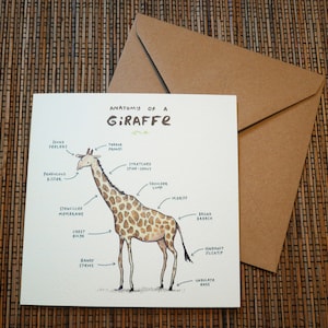 Carte Anatomie d’une girafe image 6