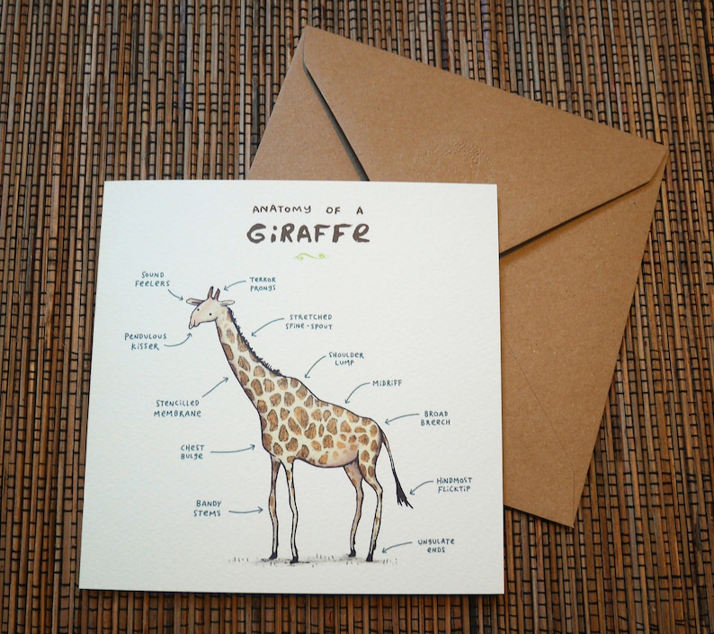 Carte Anatomie d’une girafe image 6