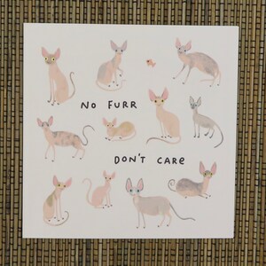 May include: A white background with a drawing of 10 hairless cats in various poses. The text "No Furr Don't Care" is written in black below the cats.