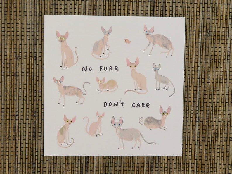 May include: A white background with a drawing of 10 hairless cats in various poses. The text "No Furr Don't Care" is written in black below the cats.