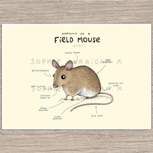 Anatomy of a Field Mouse Signed Art Print