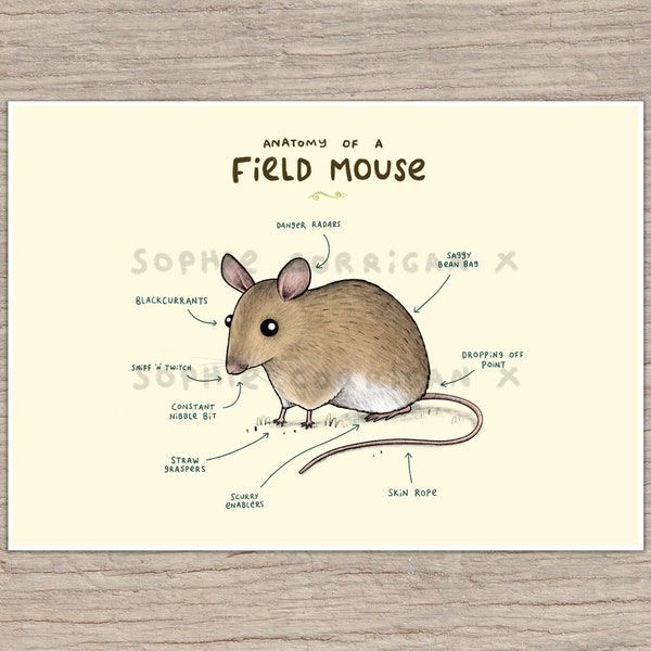 Field Mouse Etsy