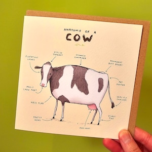 Cartão Anatomia de uma Vaca