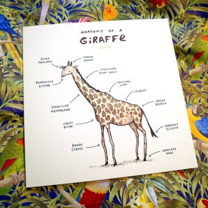 Carte Anatomie d’une girafe image 2