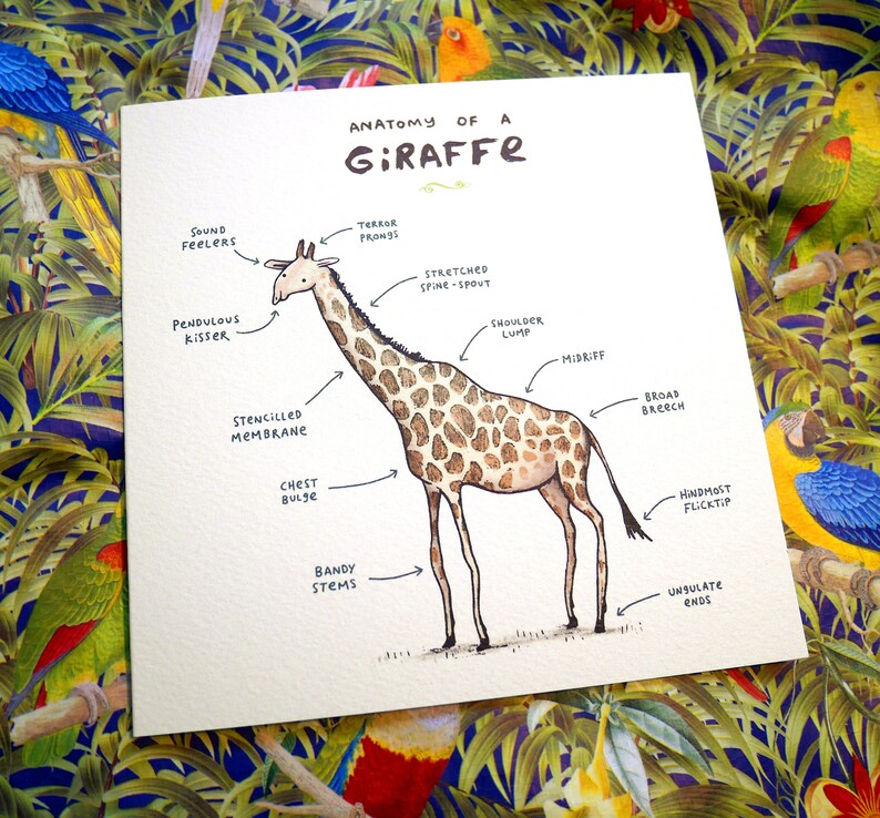 Carte Anatomie d’une girafe image 2