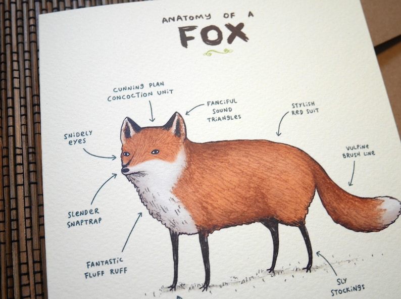 Anatomy Of A Fox Card zdjęcie 6