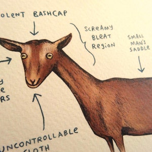 Anatomy Of A Goat Card image 4