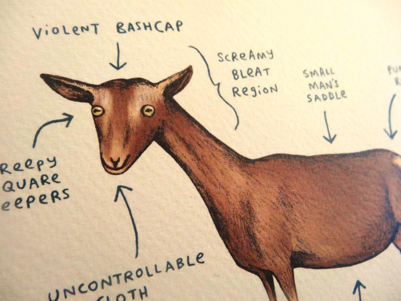 Anatomy Of A Goat Card image 4