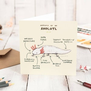 Anatomy Of An Axolotl Card
