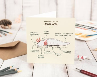 Anatomy Of An Axolotl Card