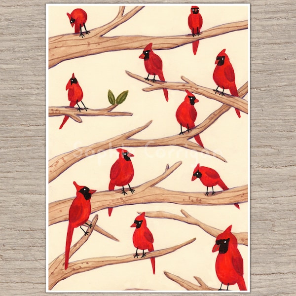 Cardinals Signed Art Print