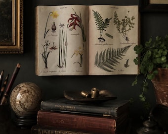 Vintage Botanical Faux Book Wall Hanging | Open Book Herbarium Style Wall Decor Boho Dark Academia