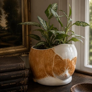 May include: A ceramic cat-shaped planter with a sleeping cat design. The planter is white and orange, with a plant inside. The planter is sitting on a wooden surface next to a stack of books and a small wooden bowl.
