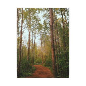 Nature Path Matte Canvas Wall Art, Forest Decor, Home Framed Art, Nature Lover Gift, Living Room Wall Decor, Rustic Artwork