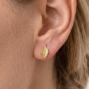 May include: A small gold stud earring shaped like a single leaf. The earring features a textured surface with a central vein and delicate lines branching out towards the edges, creating a realistic botanical appearance on the earlobe.