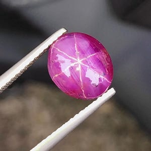 Può includere: Una gemma ovale lucidata, tenuta da una pinzetta. La gemma è di colore rosa intenso con un motivo a stella a sei raggi sulla sua superficie. L'effetto stella è creato dalla riflessione della luce sulle inclusioni.