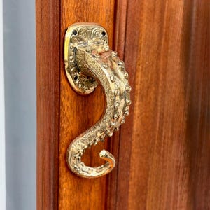 May include: A gold-colored metal door handle shaped like a curved octopus tentacle with textured suction cups. The handle is mounted on a polished wooden door with a decorative oval base plate featuring intricate scrollwork and visible screw holes.