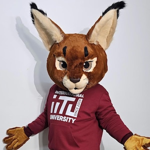 Disfraz de mascota