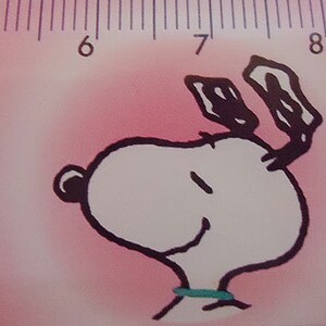 The Snoopy Pencil and Ruler.90s.From Peanuts