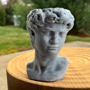 May include: A gray bust of David, a classical sculpture, is displayed on a wooden surface. The bust features detailed facial features and curly hair. The sculpture is a decorative item, suitable for home decor.
