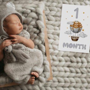 Biglietti per le tappe del bambino - Design con mongolfiera, Accessori per foto mensili, Regalo per baby shower, Biglietti per le tappe del bambino, Ricordi, Accessori per foto per bambini