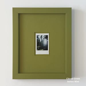 Kleurrijke polaroidfotolijst: modern monochromatisch decor, 8 x 10, gemaakt in Ohio afbeelding 13