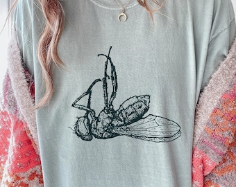 Dead Housefly Tee – Vintage Insect Illustration Shirt, Entomology Bug Graphic, Minimal Fly Drawing Gift Top