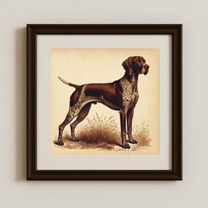 German Shorthaired Pointer Dog Art Print 8x8Glossy Vintage Style Illustration Unframed Wall Decor for Dog Lovers GSP Dog Print Living