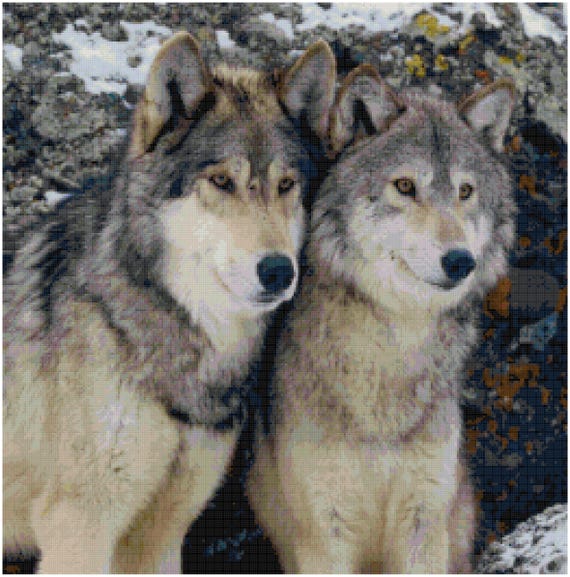 Cross Stitch Chart Pattern Indian Couple /& Wolf