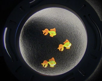 The Goldfish Three - Croc Shoe Charms Set