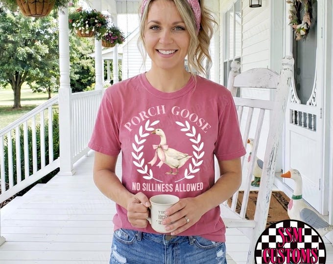Porch Goose T-Shirt: No Silliness Allowed Graphic Tee