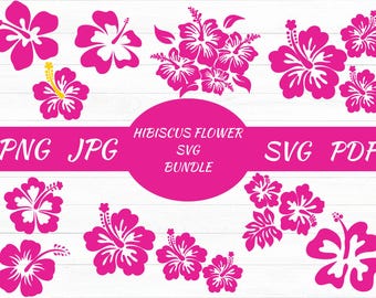 May include: A collection of pink hibiscus flower designs in various arrangements. The image includes individual flowers, clusters, and the text "PNG JPG" and "SVG PDF" with "HIBISCUS FLOWER SVG BUNDLE" in a pink oval.