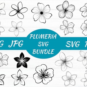 Plumeria SVG Bundle, Plumeria dxf, Plumeria png, Plumeria vector, Plumeria clipart, Tropical Flower svg, Hawaiian Flower svg