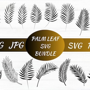 Palm Leaf SVG, Palm Leaves Svg, Hand Drawn Leaves Svg, Palm Leaf Cricut, Palm Leaf Bundle, Tropical Leaf Cut File, Tropical Leaves Clipart