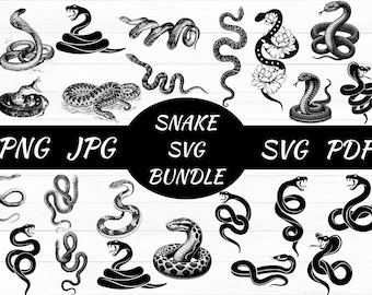 Pacchetto SVG di serpenti, silhouette di rettili, serpenti floreali (file di taglio)