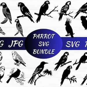 Parrot SVG, Parrot Clipart, Parrot Cut Files, Bird Silhouette, Animal Svg, Parrot Cricut, Parrot Vector, Instant Download, Png