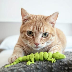 Peut inclure: Un chat tigré roux aux yeux verts regarde la caméra, couché sur une couverture grise. Un jouet lézard vert vif articulé est devant le chat. La fourrure du chat présente un motif rayé. L'arrière-plan est de couleur neutre.