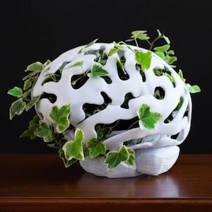 Può includere: Un vaso bianco a forma di cervello con un design aperto unico. Il vaso è riempito di piante di edera verde, creando un contrasto sorprendente. Il vaso poggia su una superficie di legno su uno sfondo nero.