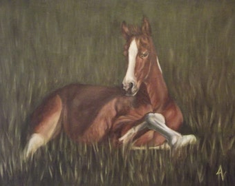 Resting Foal Original Oil Painting