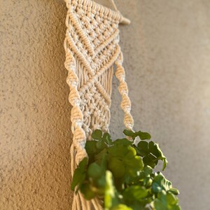 Puede incluir: Un colgador de plantas de macramé color crema con una clavija de madera y un lazo para colgar. El diseño tejido presenta patrones de diamantes y detalles de cuerda trenzada. Se ve una planta verde y frondosa en la parte inferior.